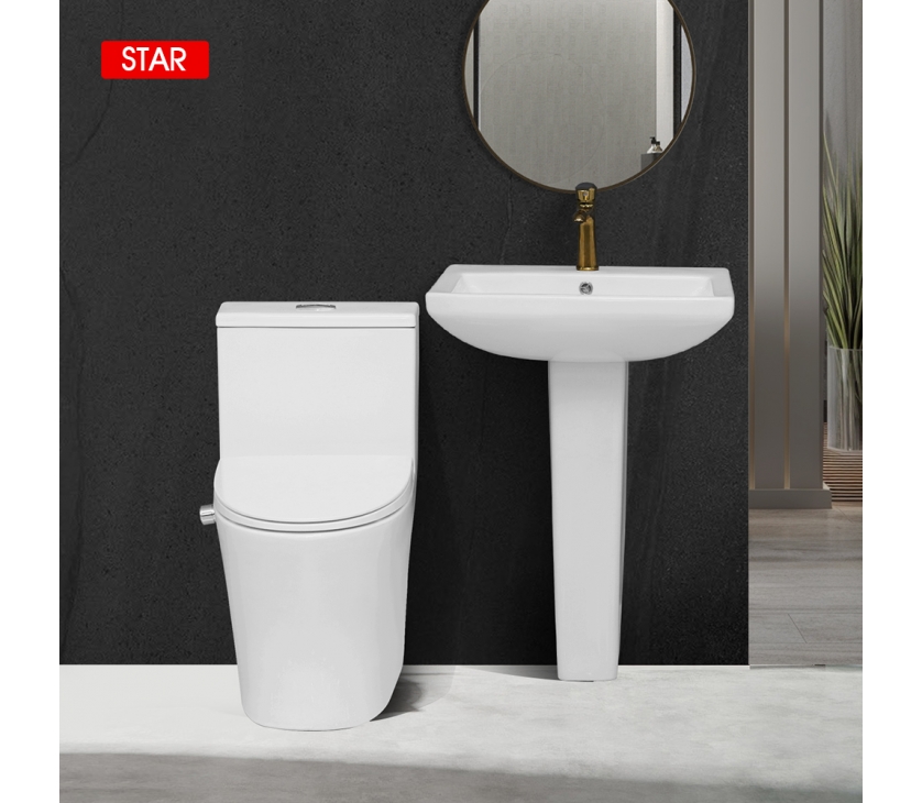 T2301 WITH BRENE BASIN SET